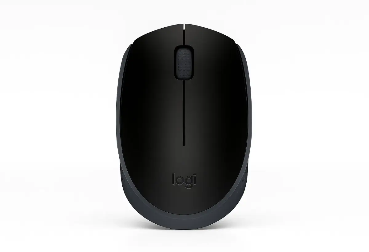 Mouse Logitech M170